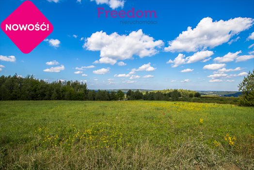 Działka budowlana na sprzedaż Straszydle 10 000m2 Foto 7