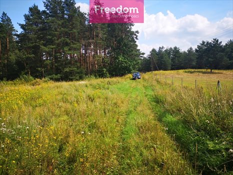 Działka budowlana na sprzedaż Orzechowo 25 000m2 Foto 5