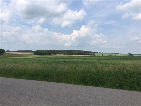 Działka inna na sprzedaż Golęczewo, Suchy Las 3 457m2 Foto 4