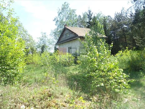 Działka inna na sprzedaż Biały Ług 4 100m2 Foto 6