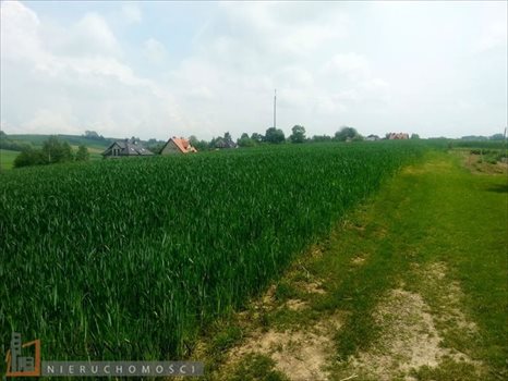 Działka budowlana na sprzedaż Masłomiąca 1 200m2 Foto 2