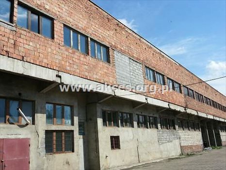 Lokal użytkowy na sprzedaż Żyrardów, Centrum 19 000m2 Foto 6