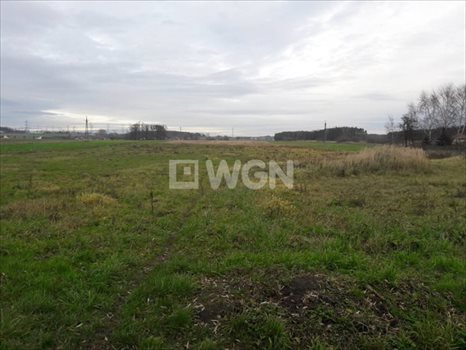 Działka budowlana na sprzedaż Smardów, Smardów 1 000m2 Foto 7