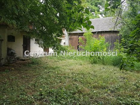 Dom na sprzedaż Kiełczygłów 100m2 Foto 3