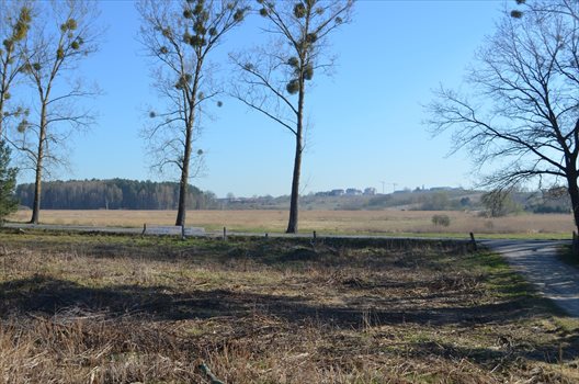 Działka inna na sprzedaż Bartąg 2 066m2 Foto 5