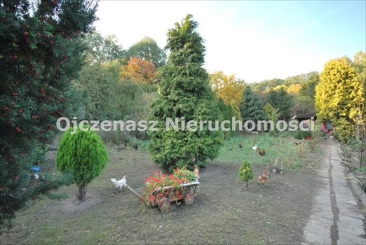 Lokal użytkowy na sprzedaż Koronowo, Koronowo 420m2 Foto 5