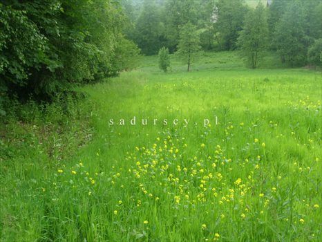 Działka rolna na sprzedaż Kraków, Podgórze, Romana Żelazowskiego 2 410m2 Foto 5