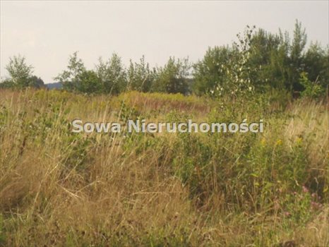 Działka budowlana na sprzedaż Wałbrzych, Poniatów 1 650m2 Foto 2
