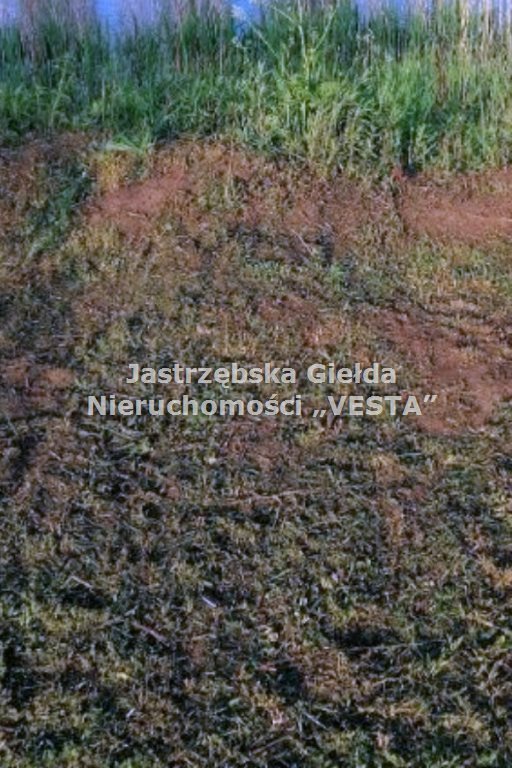 Działka rekreacyjna na sprzedaż Olza 198m2 Foto 1