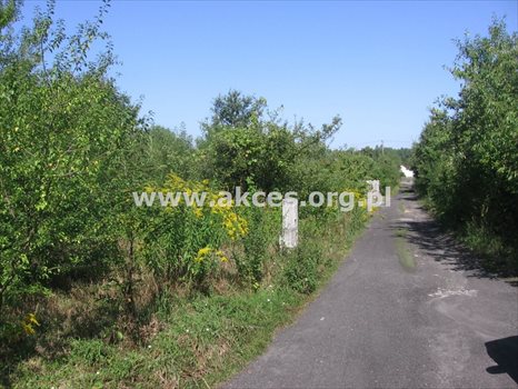 Działka budowlana na sprzedaż Łoś, Łoś, Polna 933m2 Foto 4