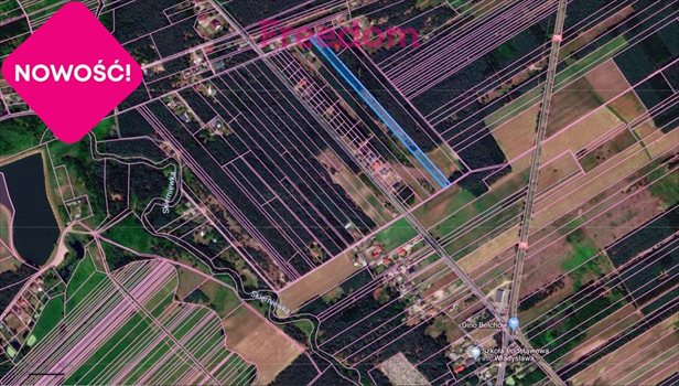 Działka budowlana na sprzedaż Bełchów 13 500m2 Foto 4