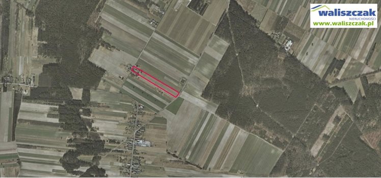 Działka budowlana na sprzedaż Opoczno, Kraśnica 20 310m2 Foto 4