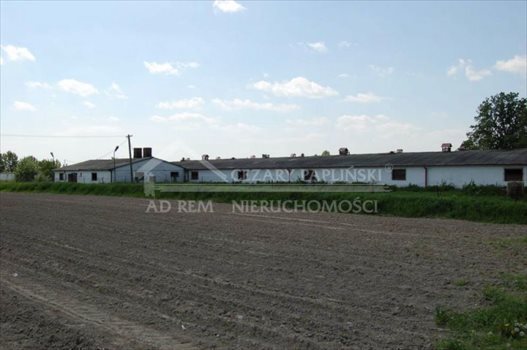 Lokal użytkowy na wynajem Nowogród, Nowogród 830m2 Foto 5