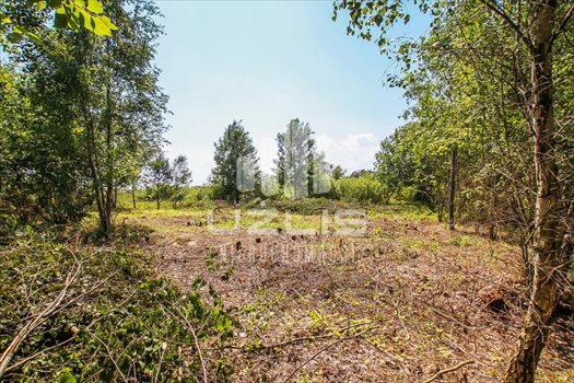 Działka inna na sprzedaż Starogard Gdański, Las, Ulica osiedlowa, Niemojewskiego 853m2 Foto 10