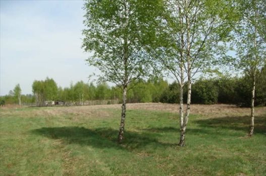 Działka budowlana na sprzedaż Kąck 1 350m2 Foto 1