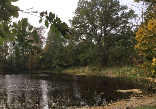 Dom na sprzedaż Zygry 1 400m2 Foto 2