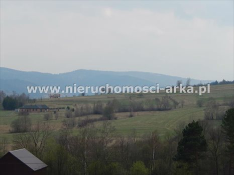 Działka budowlana na sprzedaż Dobra 3 700m2 Foto 5