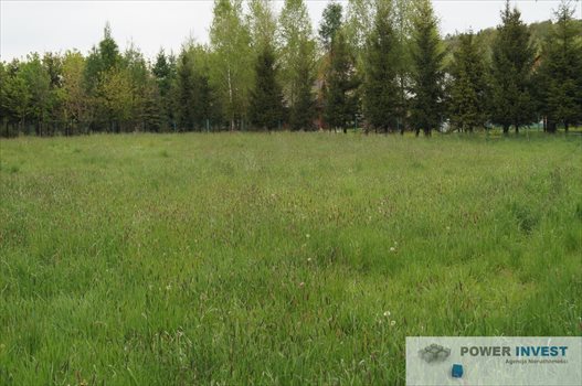 Działka budowlana na sprzedaż Krzywaczka 1 220m2 Foto 4