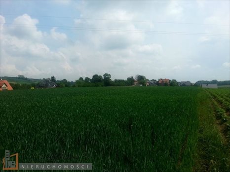 Działka budowlana na sprzedaż Masłomiąca 1 200m2 Foto 8