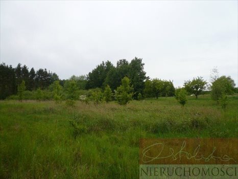 Działka siedliskowa na sprzedaż Nienawiszcz 13 638m2 Foto 8