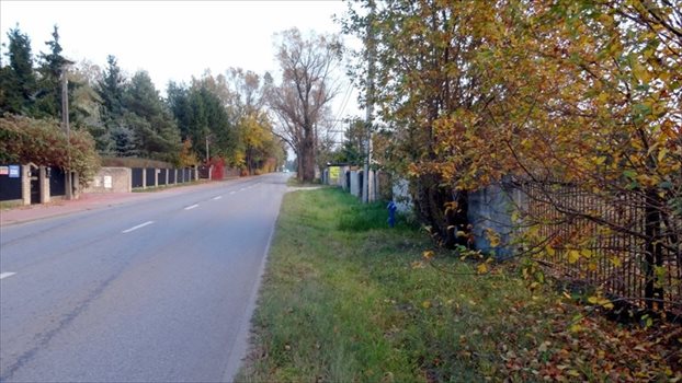 Działka inwestycyjna na sprzedaż Kajetany 14 916m2 Foto 5