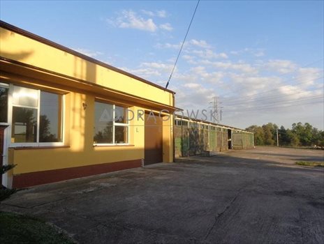 Lokal użytkowy na sprzedaż Knopin 1 527m2 Foto 12