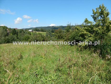 Działka budowlana na sprzedaż Limanowa, Lipowe 2 100m2 Foto 3