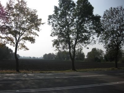 Działka inna na sprzedaż Kazimierzowo, Kazimierzowo 21 172m2 Foto 2