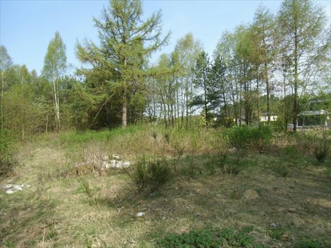 Działka budowlana na sprzedaż Gdynia, Dąbrowa, Leśna Polana 686m2 Foto 3