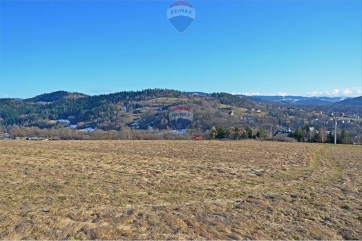Działka budowlana na sprzedaż Rabka-Zdrój 4 480m2 Foto 5