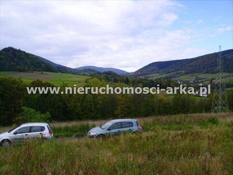 Działka budowlana na sprzedaż Skrzydlna 3 300m2 Foto 3