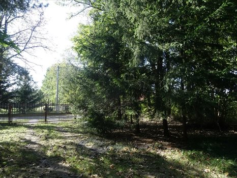 Działka inna na sprzedaż Osęka 7 600m2 Foto 4