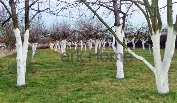 Dom na sprzedaż Rawicz, Wały Powstańców Wielkopolskich 2 694m2 Foto 11