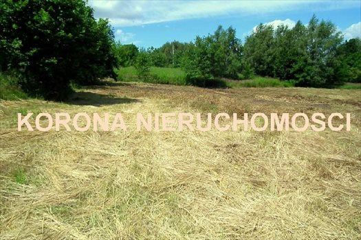 Działka budowlana na sprzedaż Rybnik 1 994m2 Foto 1