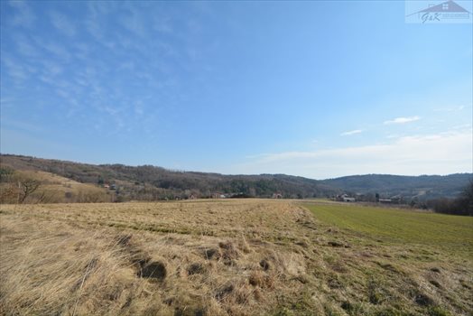 Działka rekreacyjna na sprzedaż Drohobyczka 5 800m2 Foto 3