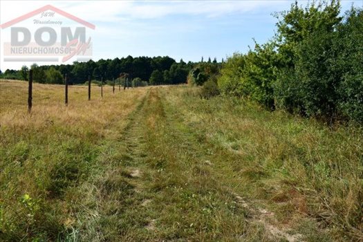 Działka inna na sprzedaż Gudowo, Jezioro, Las, Przystanek autobusowy, Tereny rekrea 56 892m2 Foto 12