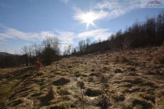 Działka rekreacyjna na sprzedaż Babice 2 400m2 Foto 6