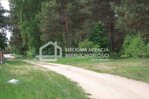 Działka leśna na sprzedaż Czarniż 44 100m2 Foto 3