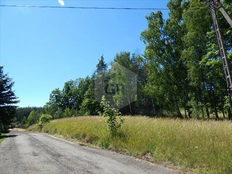 Działka rekreacyjna na sprzedaż Kościerzyna, Kościerzyna, Plebanka 2 532m2 Foto 2