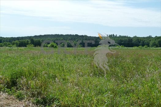 Działka inna na sprzedaż Dębina, Akacjowa 1 861m2 Foto 3