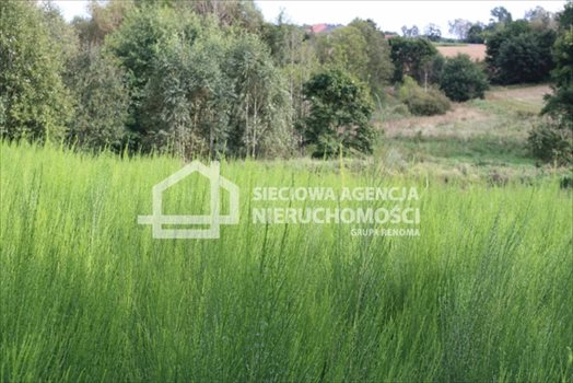 Działka budowlana na sprzedaż Tokary 2 540m2 Foto 1