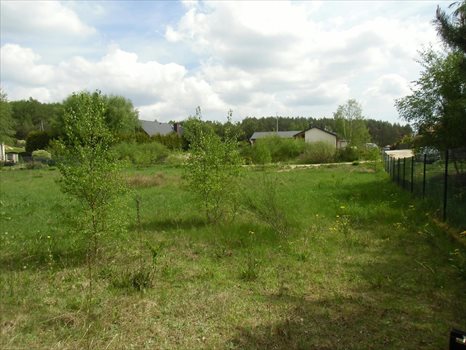 Działka budowlana na sprzedaż Bojano, Okrężna 2 565m2 Foto 7