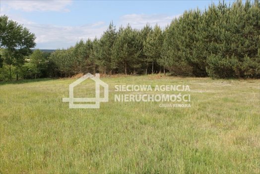 Działka budowlana na sprzedaż Lubowidz 950m2 Foto 9