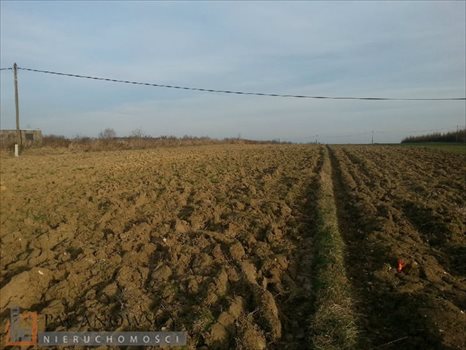 Działka inna na sprzedaż Cianowice Duże 10 700m2 Foto 3