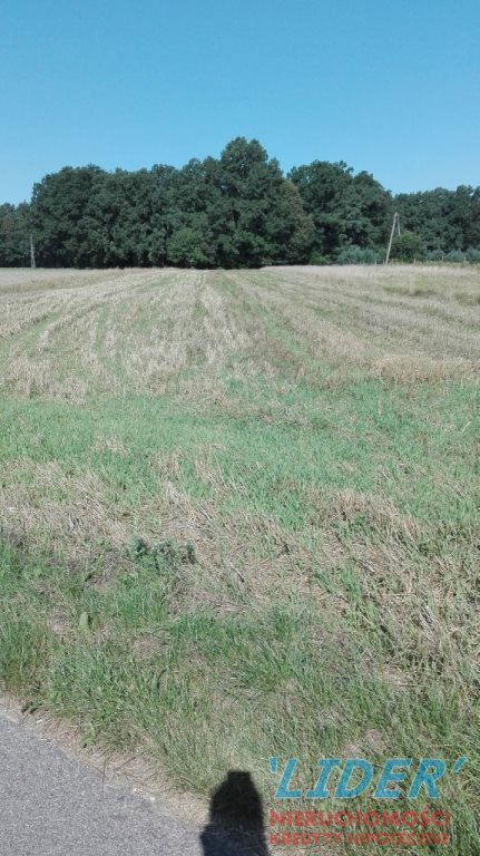 Działka budowlana na sprzedaż Międzyrzecze 1 500m2 Foto 2