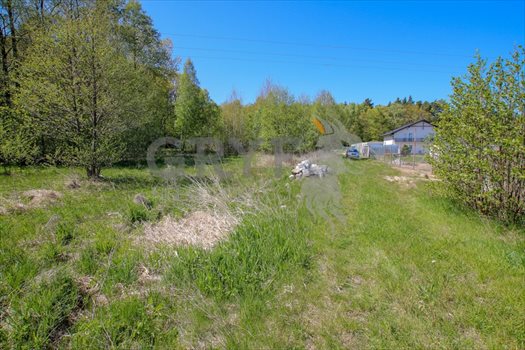 Działka inna na sprzedaż Dębina, Dębina 1 164m2 Foto 4