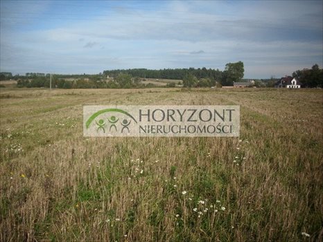 Działka inna pod dzierżawę Dobrzewino 2 300m2 Foto 4