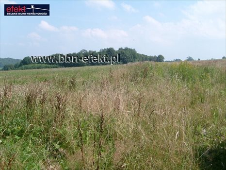 Działka budowlana na sprzedaż Grodziec 1 220m2 Foto 2