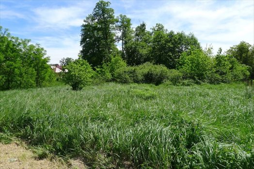 Działka inna na sprzedaż Zgierz, Piaskowice 2 590m2 Foto 3