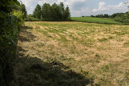 Działka budowlana na sprzedaż Będkowice, Długa 96 1 646m2 Foto 1